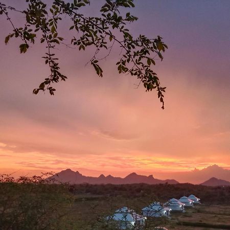 Hotel The Bagheera Bagh Jawai à Bera Extérieur photo