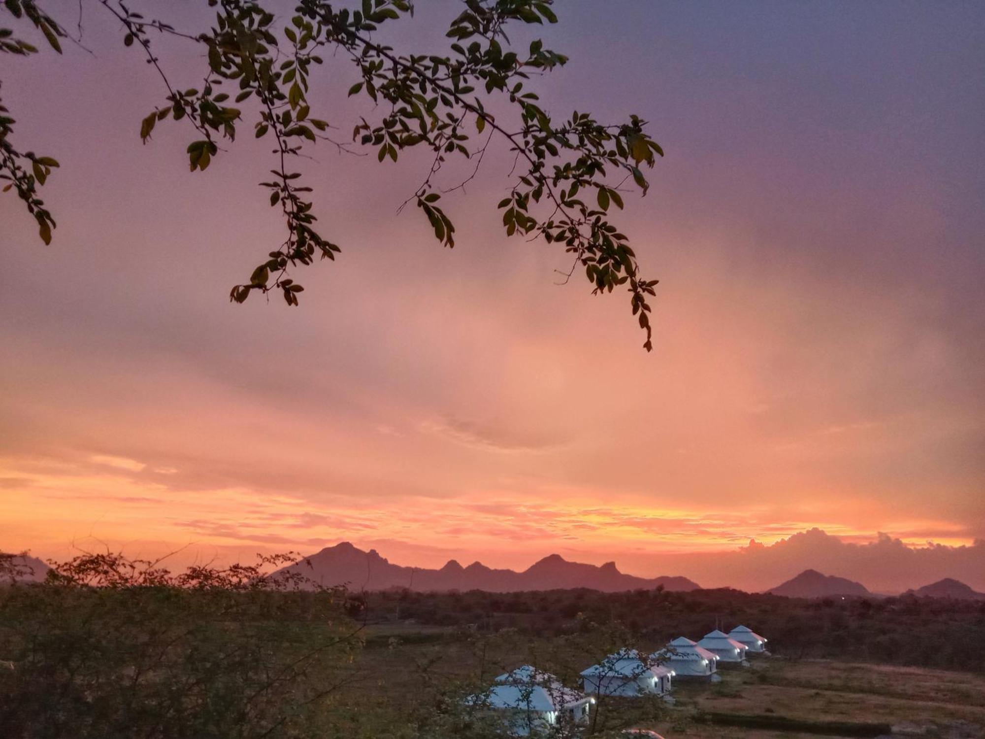 Hotel The Bagheera Bagh Jawai à Bera Extérieur photo